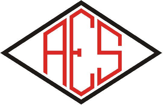 distintivo-da-esportiva-santacruzense